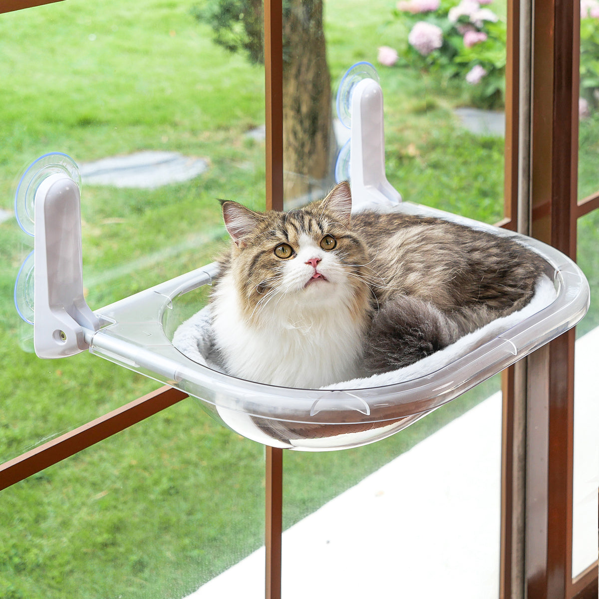 Transparent Oval Cat Window Perch Amosijoy