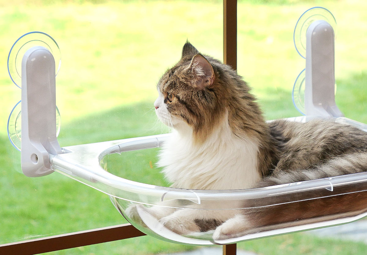 How to Make Suction Cups Stick and Durable for Use Amosijoy