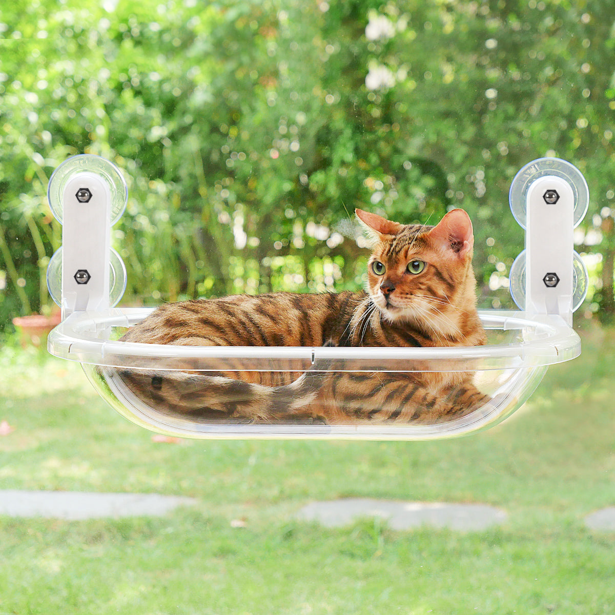 Transparent Oval Cat Window Perch