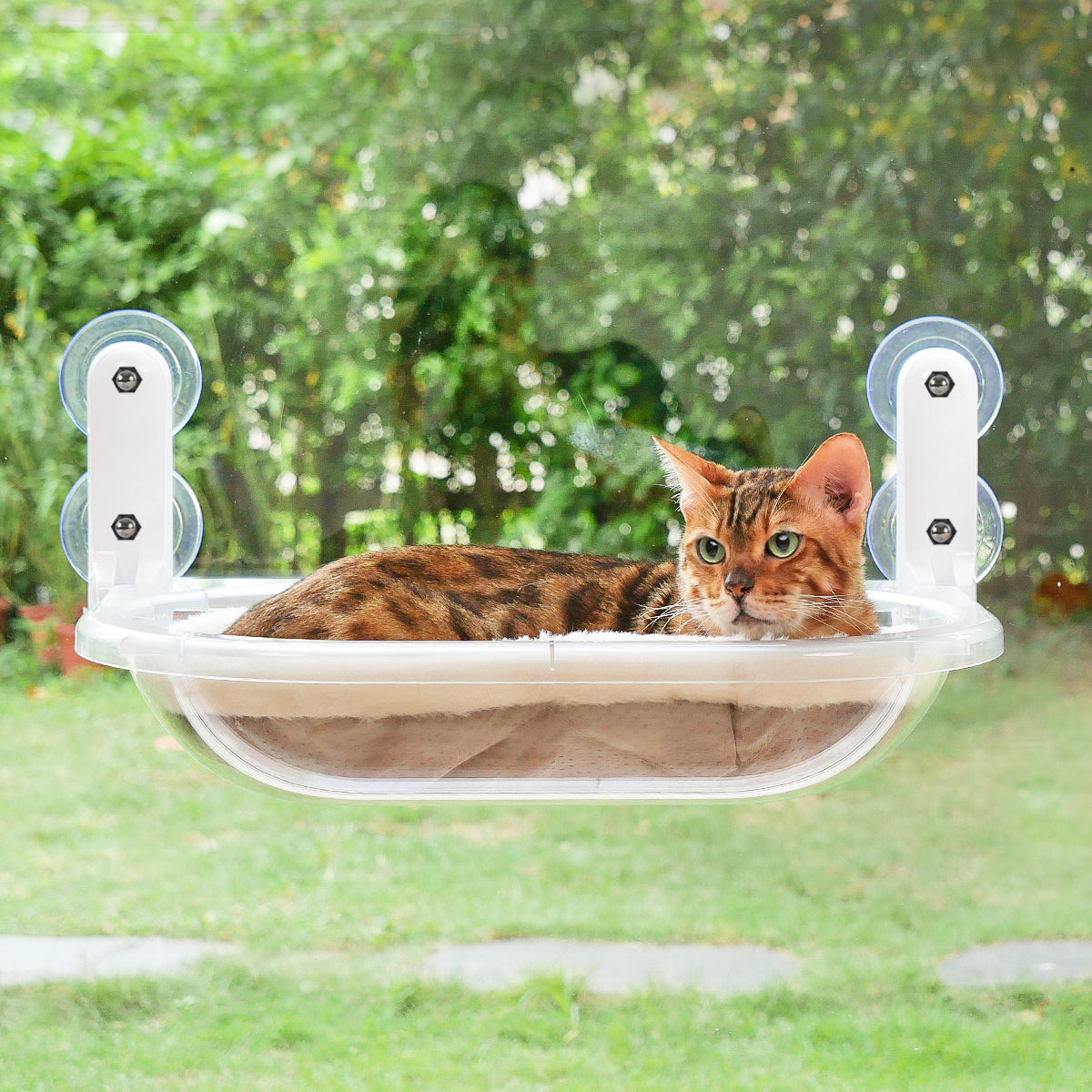 Transparent Oval Cat Window Perch