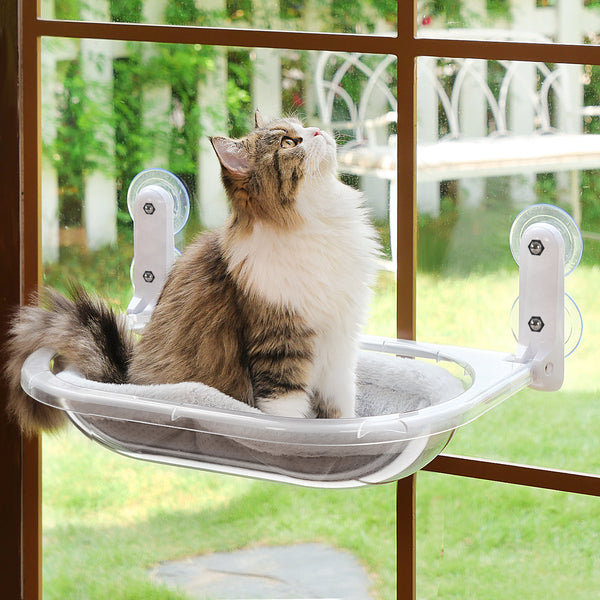 Transparent Oval Cat Window Perch
