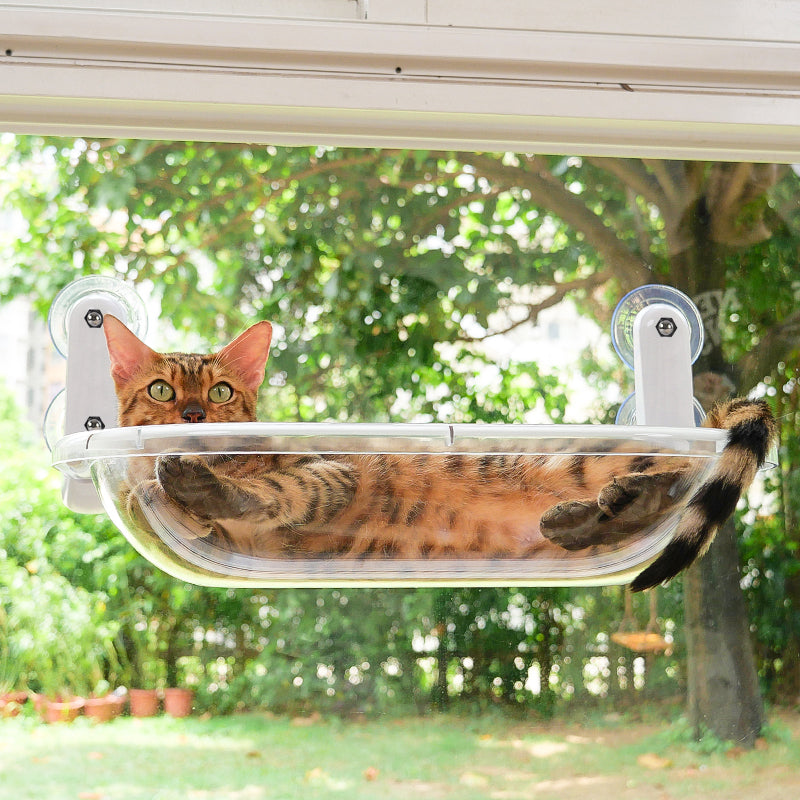 Transparent Oval Cat Window Perch