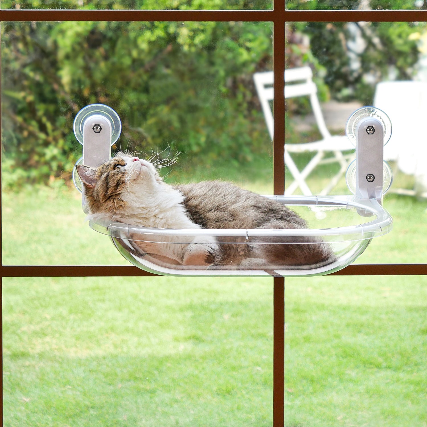 Transparent Oval Cat Window Perch