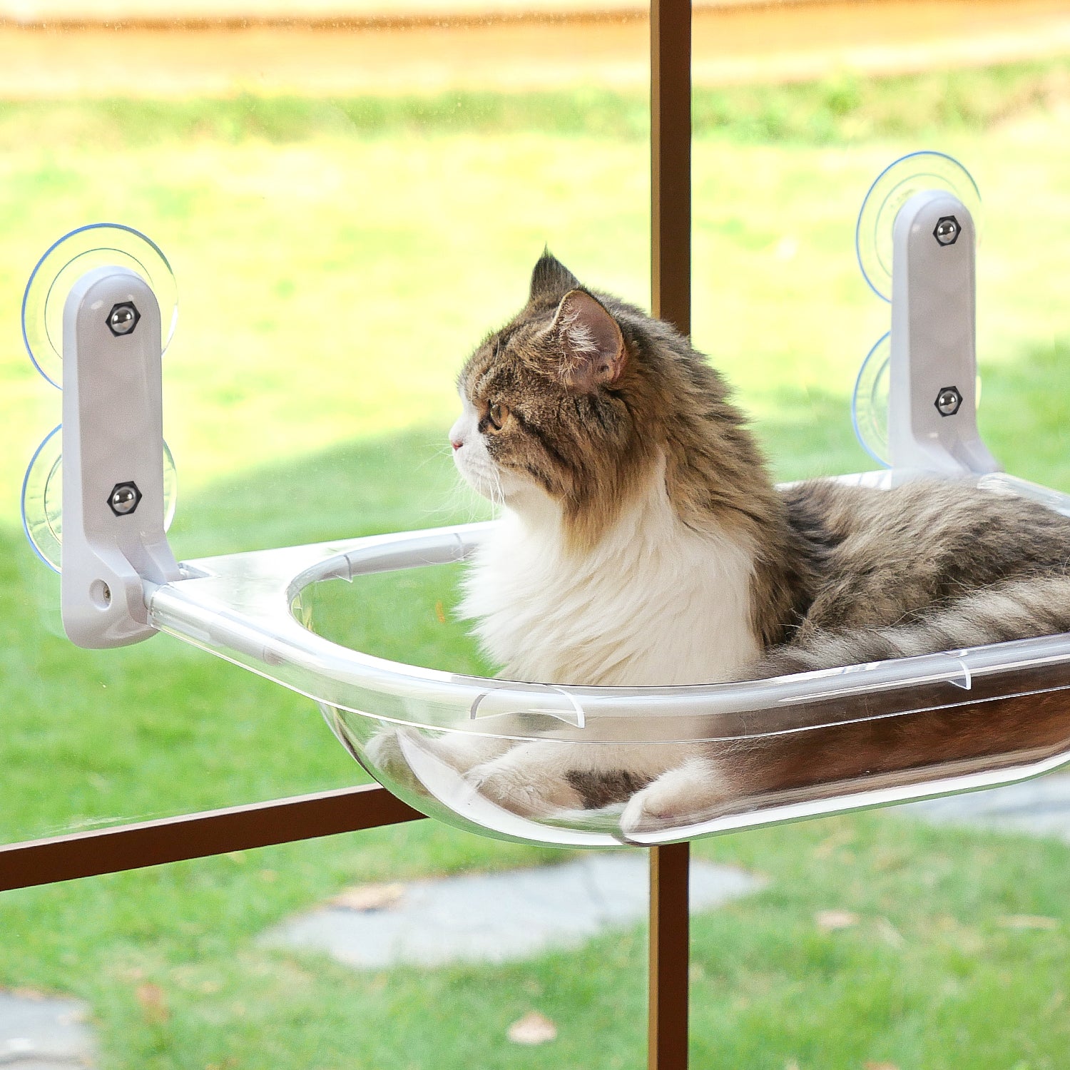 Transparent Oval Cat Window Perch