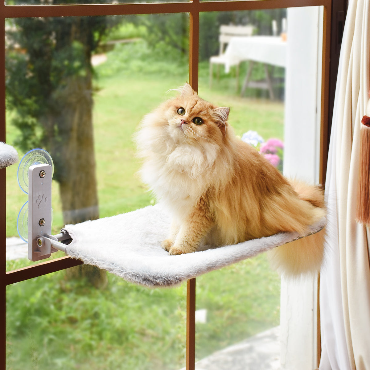 Amosijoy Foldable Cat Window Perch ติดกระจกด้วยถ้วยดูดสี่จุด
