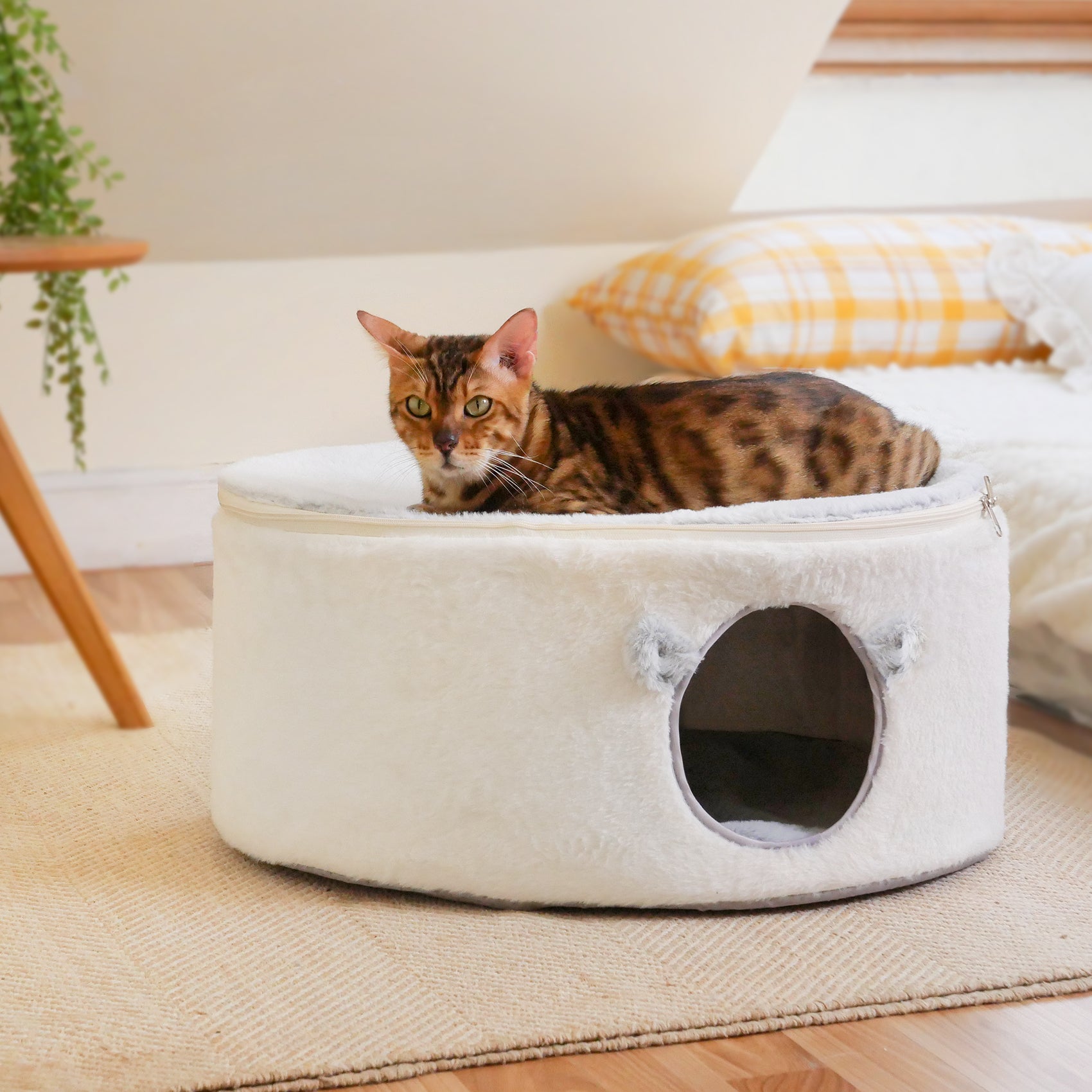 Amosijoy-Cat Cave Bed Covered Enclosed Cat House Main Picture 4