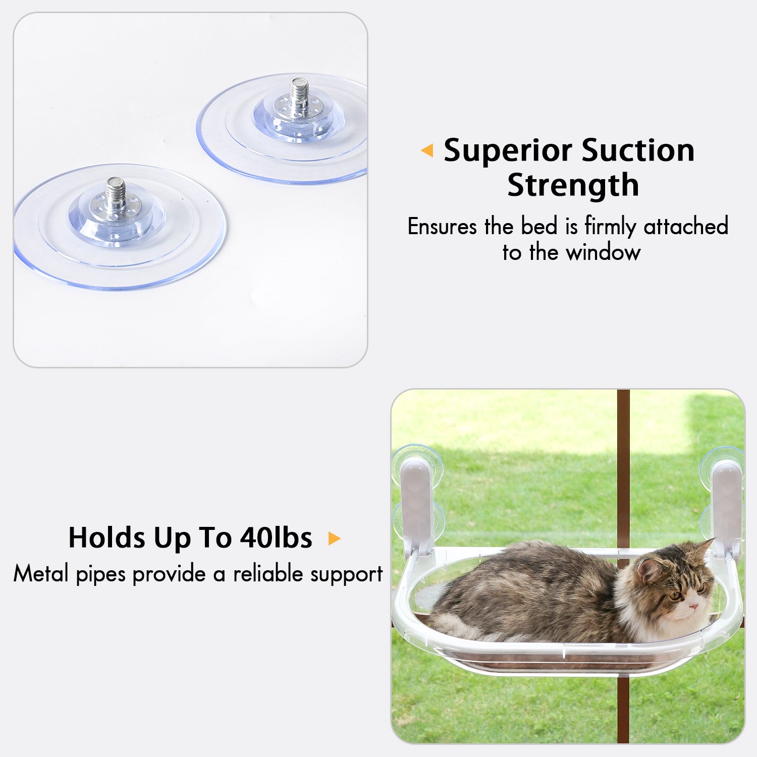 Transparent Oval Cat Window Perch – Amosijoy