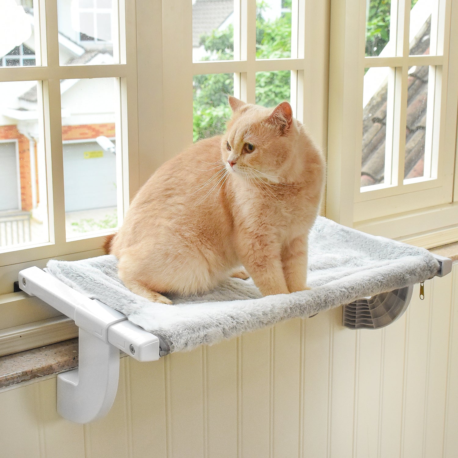 Window Sill Mount Cat Perch – Amosijoy